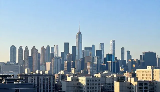 技术咨询中地区常见问题的检查要点与处理方法